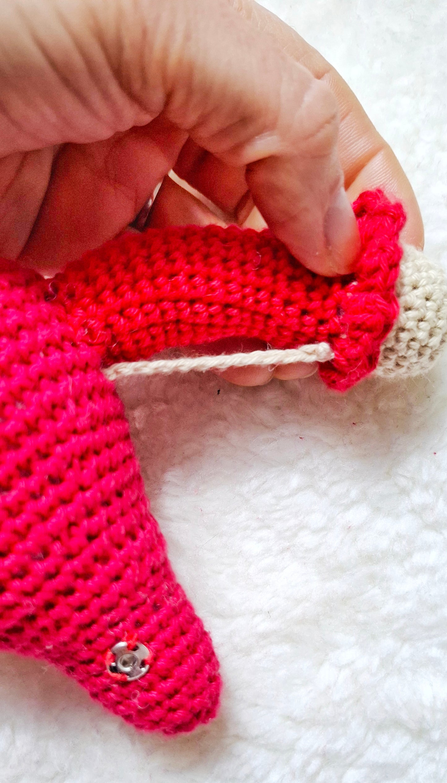 Padrão - Sistema Reprodutor Feminino em Portugues