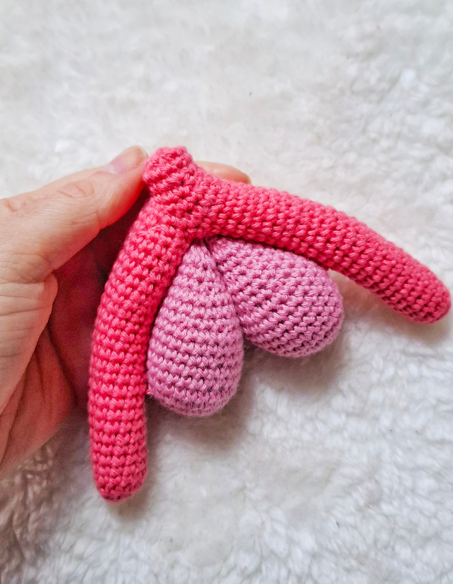 Padrão - Sistema Reprodutor Feminino em Portugues