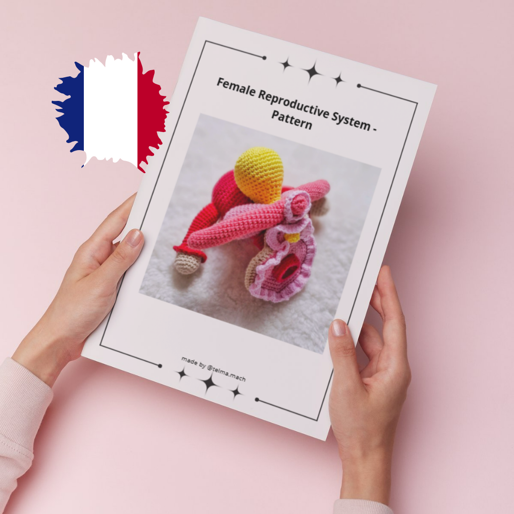 Standard - Female Reproductive System